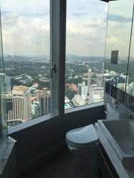 The Orchard Residences (D9), Apartment #133360782